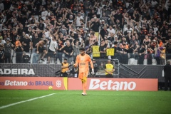 corinthians-x-cruzeiro-semifinal-copa-do-brasil_54993704171_o