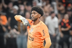 corinthians-x-cruzeiro-semifinal-copa-do-brasil_54993704226_o