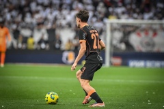 corinthians-x-cruzeiro-semifinal-copa-do-brasil_54993705601_o