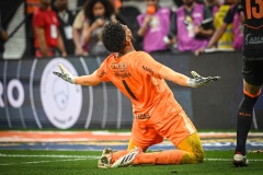 corinthians-x-cruzeiro-semifinal-copa-do-brasil_54994003735_o