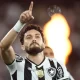 Botafogo, Copa do Brasil
