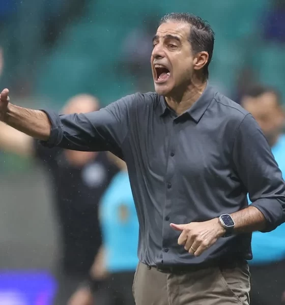 Renato Paiva, Botafogo