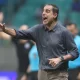 Renato Paiva, Botafogo