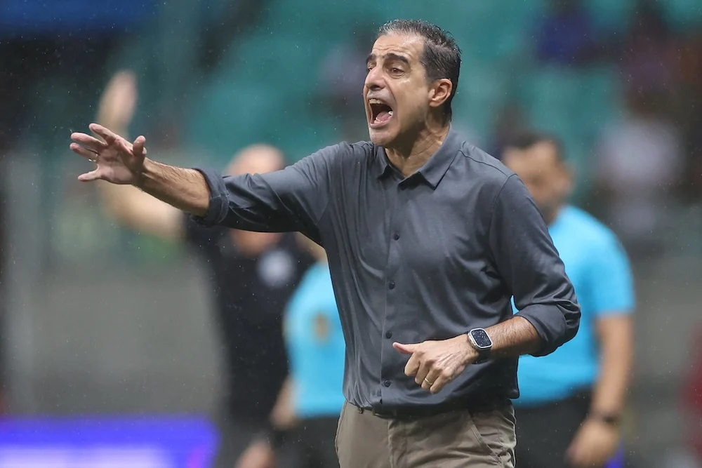 Renato Paiva, Botafogo