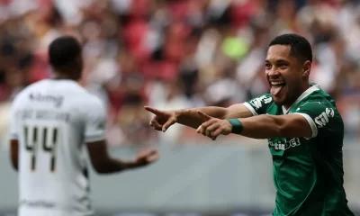 Campeonato Brasileiro: Vasco da Gama x Palmeiras (04/05/2025)