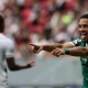 Campeonato Brasileiro: Vasco da Gama x Palmeiras (04/05/2025)