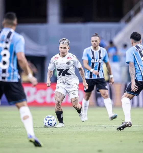 BRASILEIRÃO - Grêmio x Santos - Arena do Grêmio (03/05/2025)
